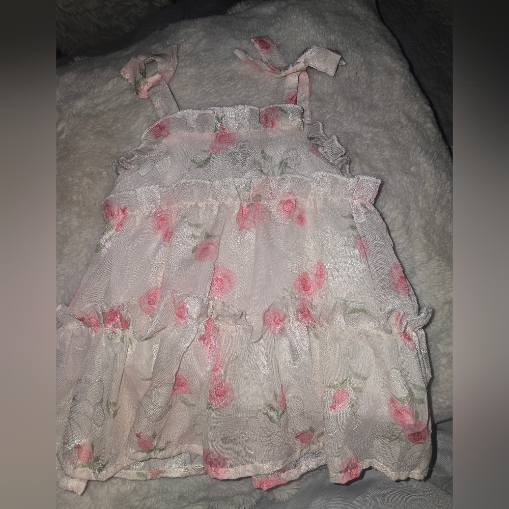 Floral Lace Baby Dress with Pink Roses